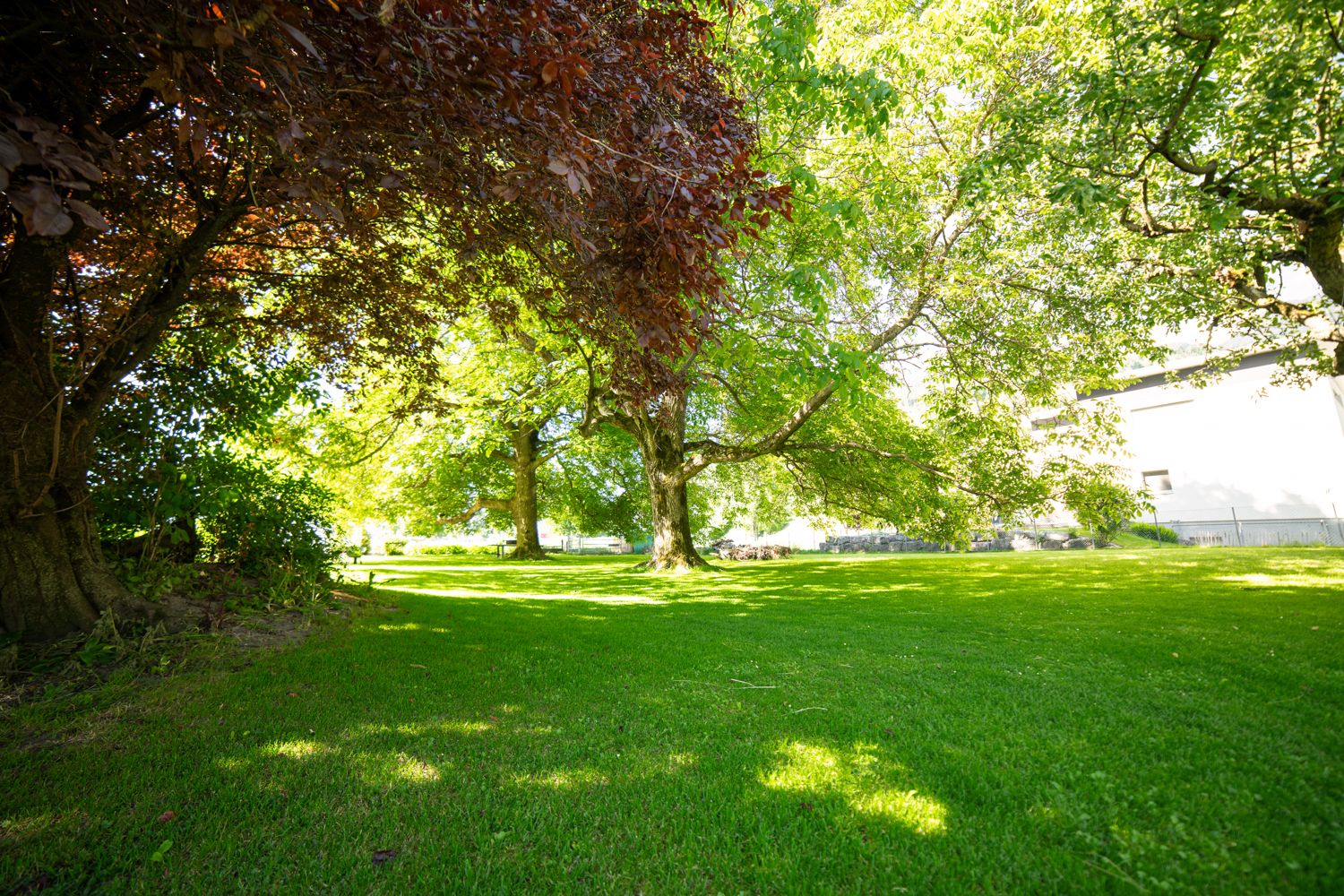 Gartenanlage