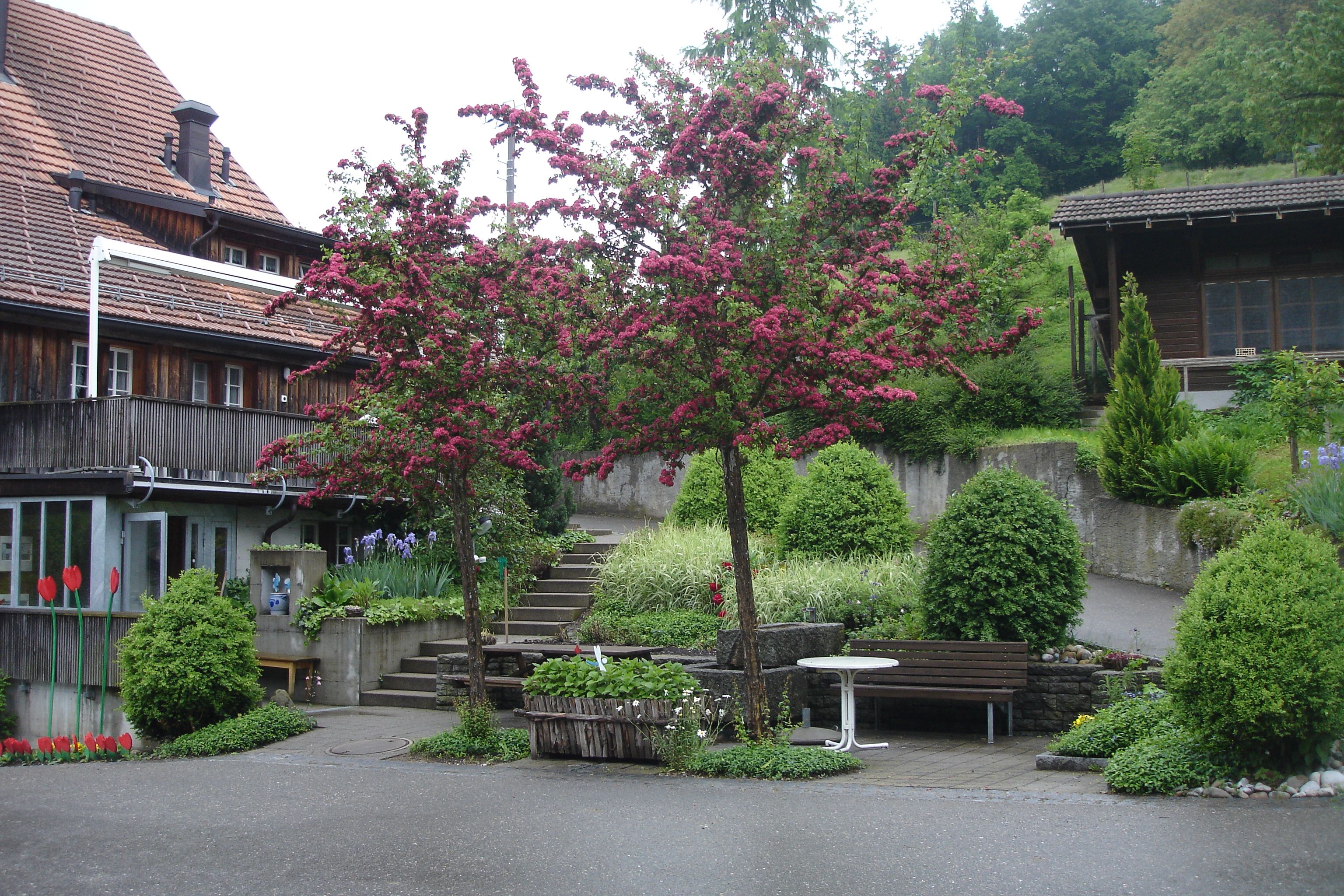 Umgebung