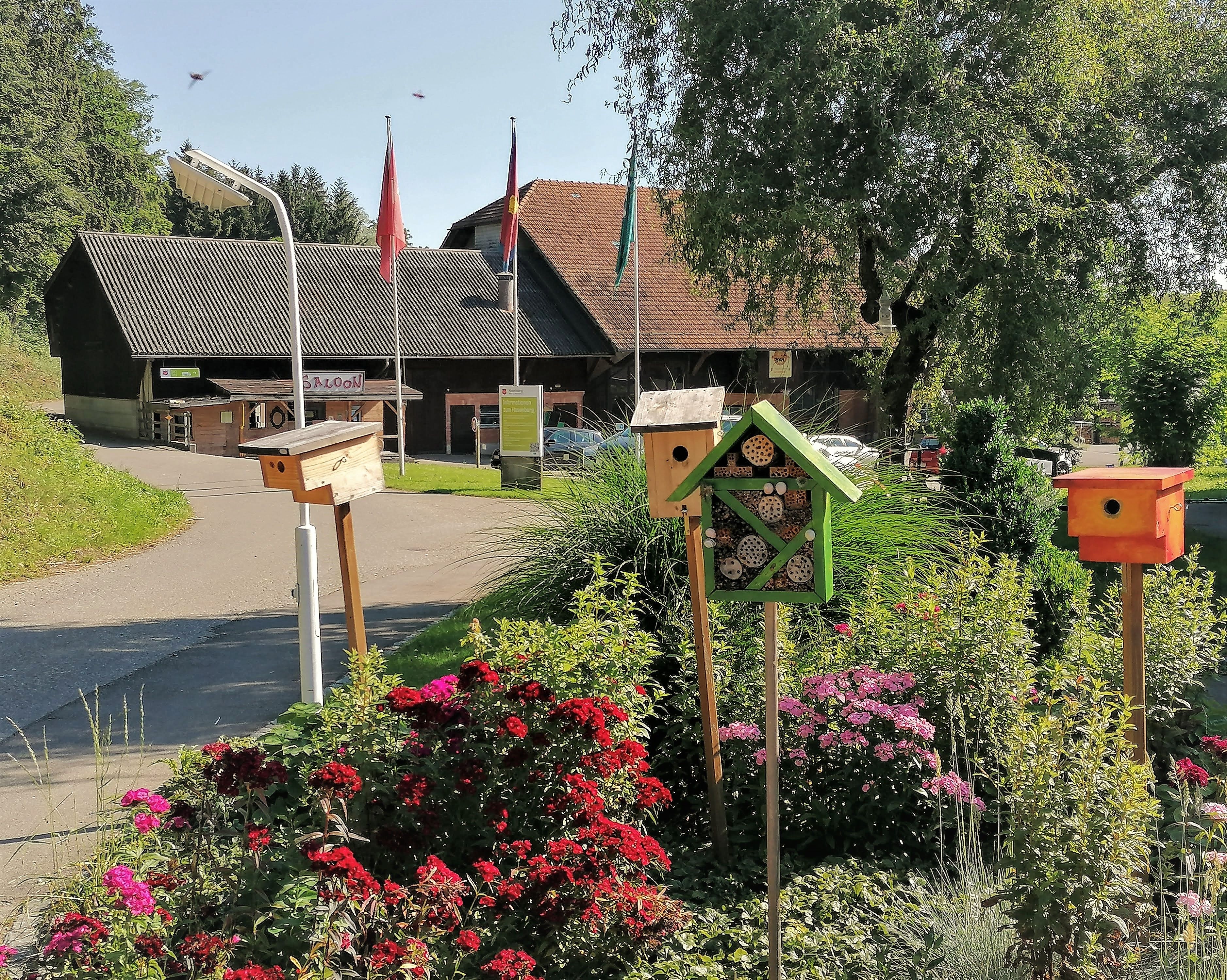 Hasenberg, Einfahrt