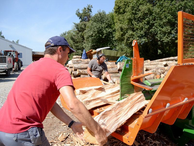 Ateliers d'intégration professionnelle