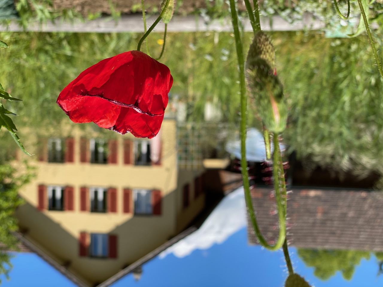 Blick vom Garten