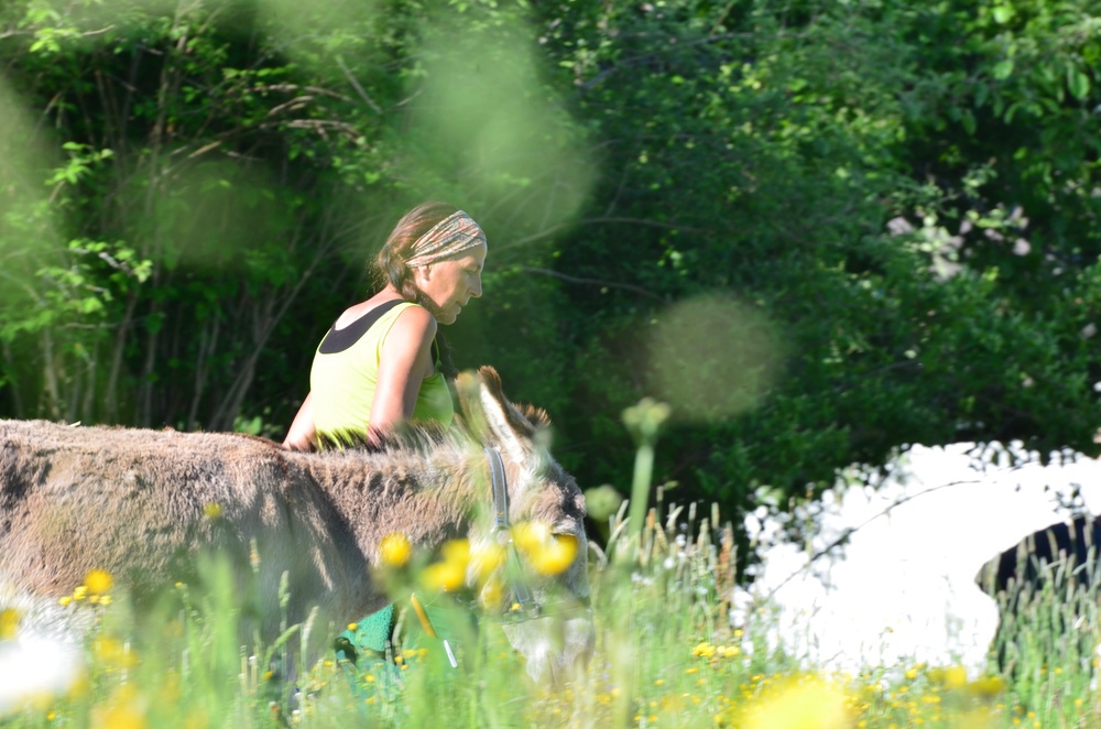 Arbeit in der Natur