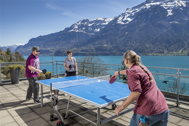 Lage über dem Brienzersee