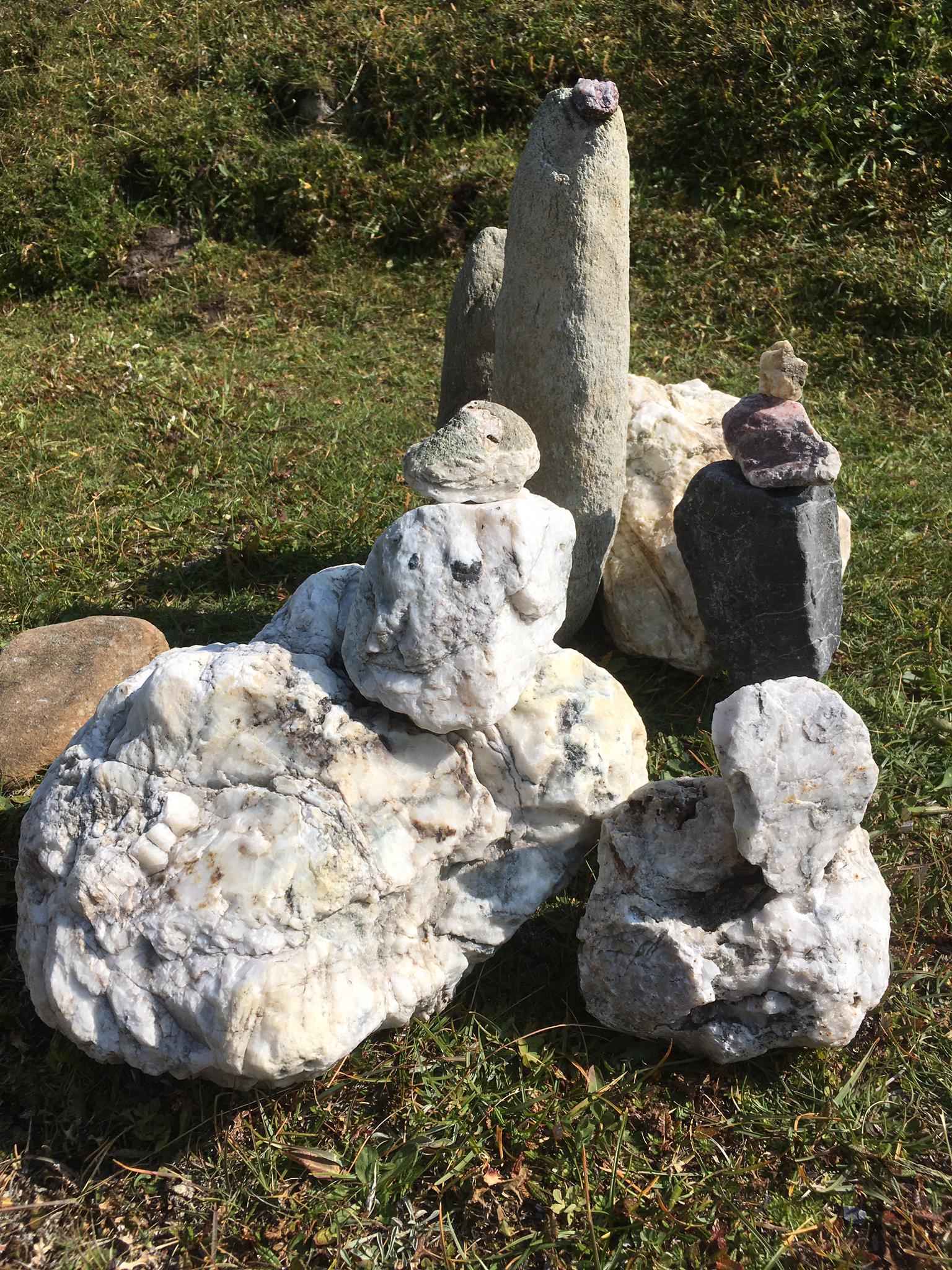 LandArt-Projekt Buffalora, Nationalpark