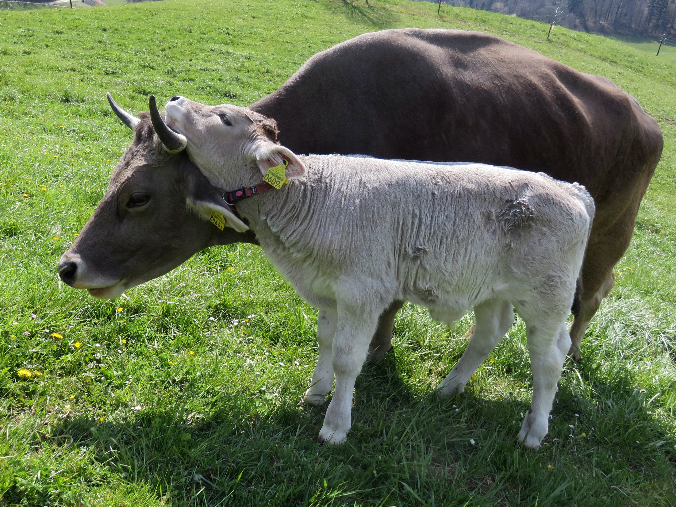 Arbeiten in der Landwirtschaft