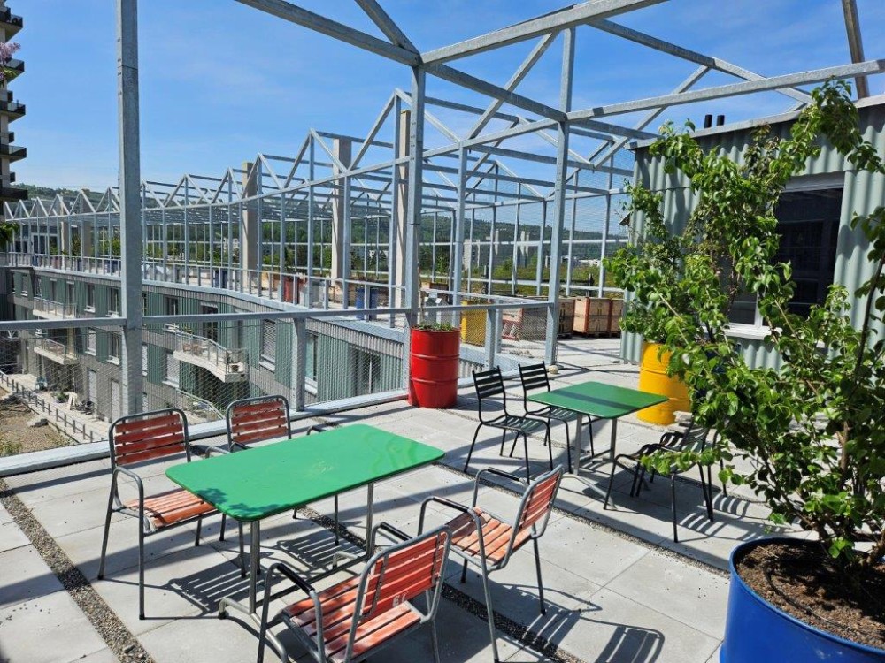 Wohnen im neuen Quartier Westhof