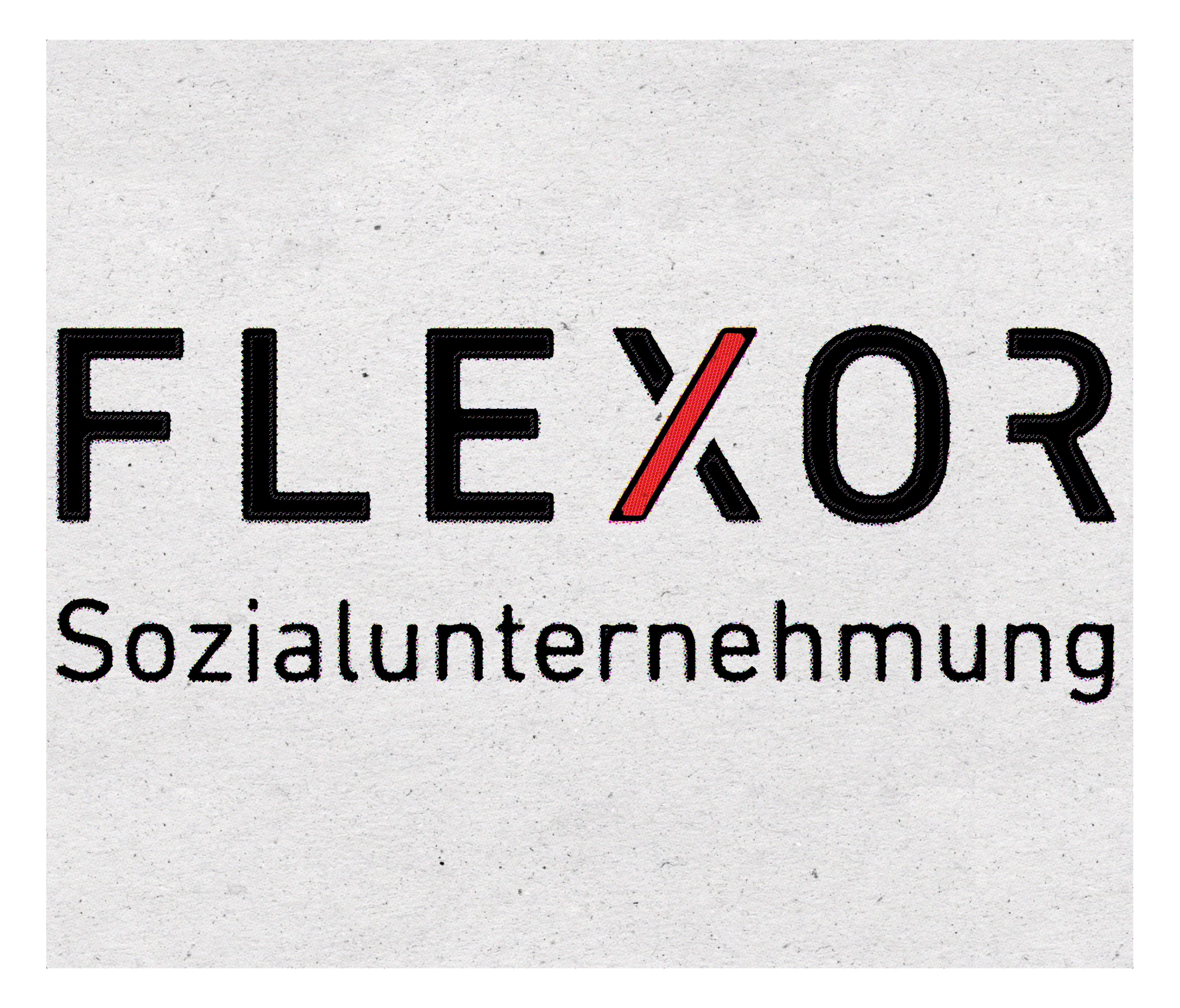 Flexor Sozialunternehmung GmbH