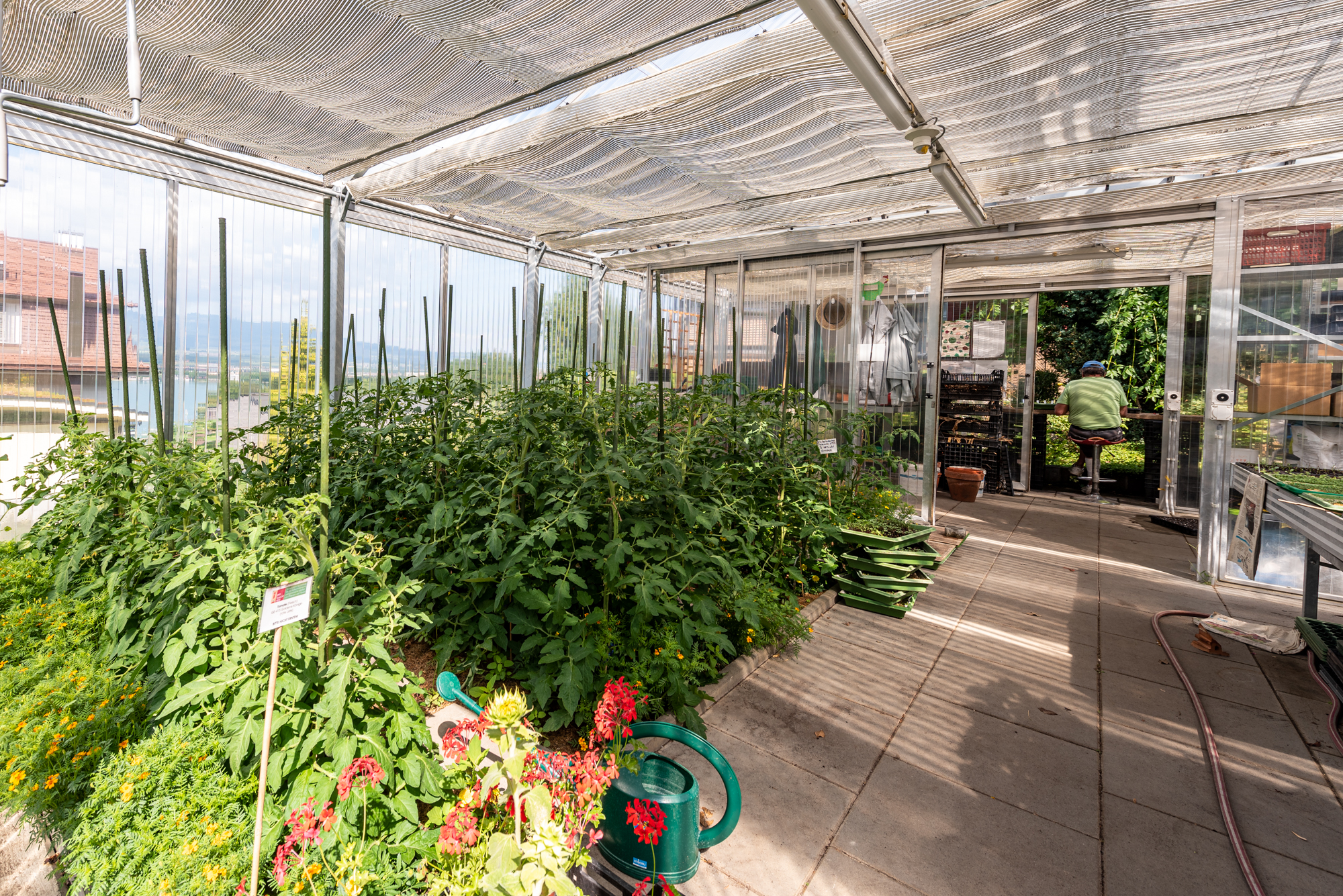 Gärtnerei Gewächshaus