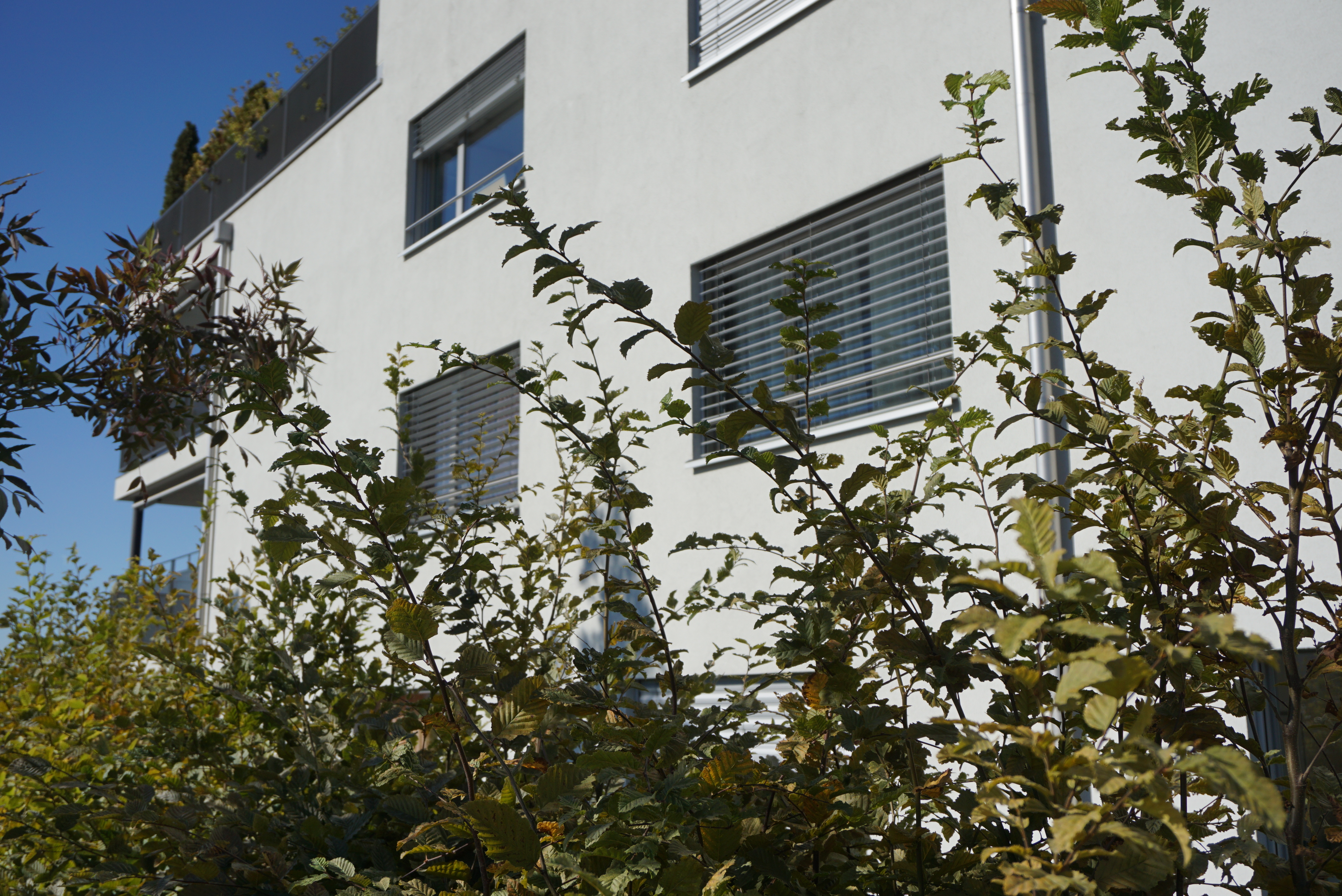 Wohnhaus Ländli